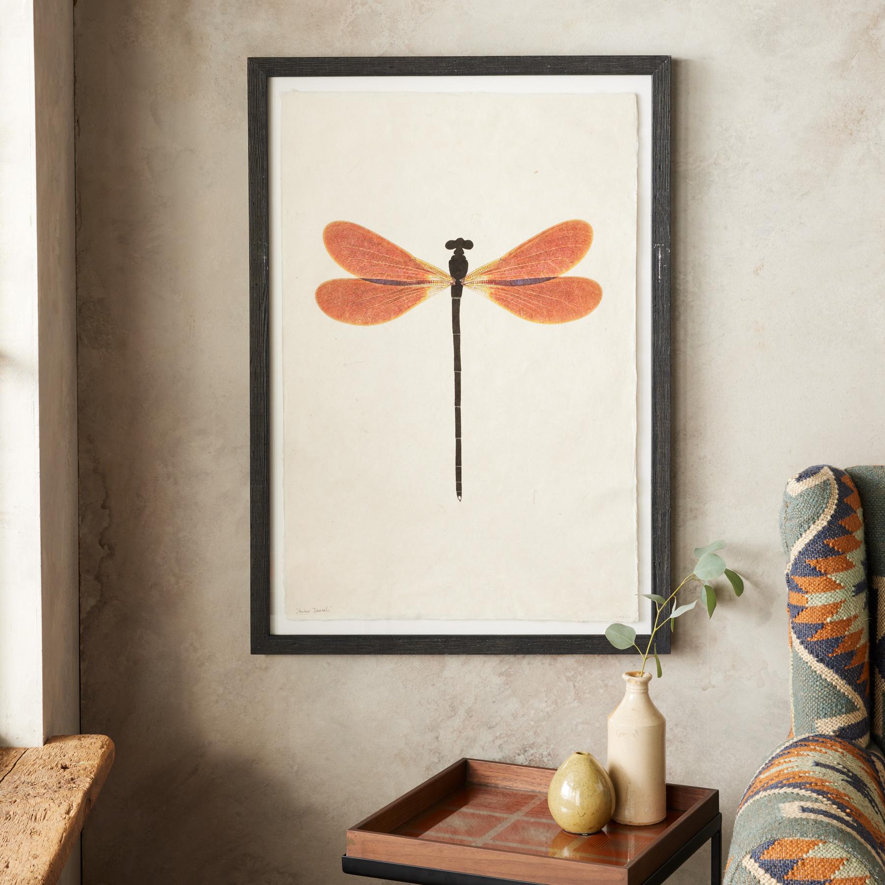 Dragonfly Studies Prints
